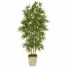 Best deal 🥰 Nearly Natural 65” Bamboo Artificial Tree In Country White Planter 💯 -Nearly Natural Sales unnamed file 2415