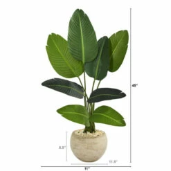 Cheapest 😉 Nearly Natural 45” Travelers Palm Artificial Tree Sand Colored Planter 🛒 -Nearly Natural Sales unnamed file 2432
