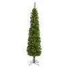 Promo 😉 Nearly Natural Green Pencil 🎄 Christmas Tree With 150 LED Lights 🥰 -Nearly Natural Sales unnamed file 2529