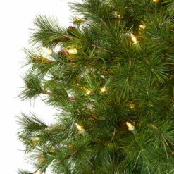 Best Sale 👍 Nearly Natural 7 Ft. Mountain Pine 🎁 Christmas Tree With 450 Lights 🔔 -Nearly Natural Sales unnamed file 255