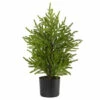 Coupon 🥰 Nearly Natural 2 Ft. Norfolk Island Pine Natural Look Artificial Tree In Decorative Planter 🥰 -Nearly Natural Sales unnamed file 269