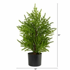 Coupon 🥰 Nearly Natural 2 Ft. Norfolk Island Pine Natural Look Artificial Tree In Decorative Planter 🥰 -Nearly Natural Sales unnamed file 270