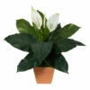 Budget 🔔 Nearly Natural 2 Ft. Spathiphyllum Artificial Plant In Terra-Cotta Planter 👏 -Nearly Natural Sales unnamed file 324