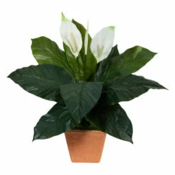 Budget 🔔 Nearly Natural 2 Ft. Spathiphyllum Artificial Plant In Terra-Cotta Planter 👏