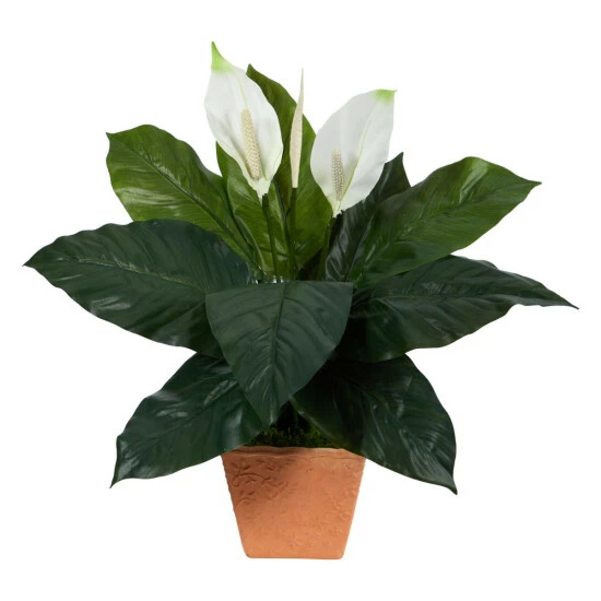 Budget π Nearly Natural 2 Ft. Spathiphyllum Artificial Plant In Terra-Cotta Planter π 3 Budget π Nearly Natural 2 Ft. Spathiphyllum Artificial Plant In Terra-Cotta Planter π