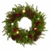 Cheapest 🥰 Nearly Natural 24 In. Wreath With 50 Multicolor Lights And Globe Bulbs 🎉 -Nearly Natural Sales unnamed file 341