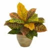 Discount ⌛ Nearly Natural 15 In. Garden Croton Artificial Plant In Ceramic Planter Real Touch 🔥