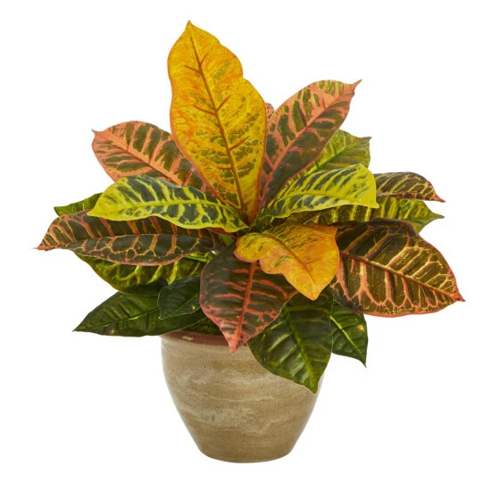 Discount β Nearly Natural 15 In. Garden Croton Artificial Plant In Ceramic Planter Real Touch π₯ 3 Discount β Nearly Natural 15 In. Garden Croton Artificial Plant In Ceramic Planter Real Touch π₯