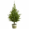 Coupon β¨ Nearly Natural 3.5 Ft. Cedar Pine Natural Look Artificial Tree In Decorative Planter β 2 Coupon β¨ Nearly Natural 3.5 Ft. Cedar Pine Natural Look Artificial Tree In Decorative Planter β -Nearly Natural Sales unnamed file 442