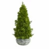Best reviews of 🛒 Nearly Natural 18 In. Cypress Cone Artificial Tree In Decorative Planter 🎁 -Nearly Natural Sales unnamed file 446