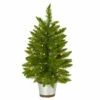 Buy 🎁 Nearly Natural 2 Ft. Providence Pine Artificial 🎁 Christmas Tree In Decorative Planter With 35 Warm White Lights And 🌟 -Nearly Natural Sales unnamed file 449