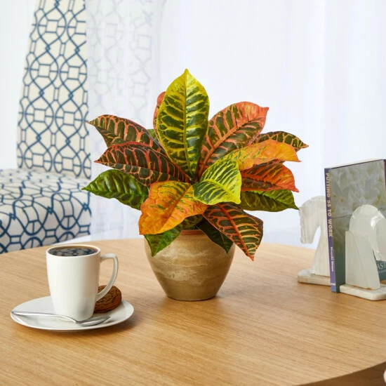Discount β Nearly Natural 15 In. Garden Croton Artificial Plant In Ceramic Planter Real Touch π₯ 5 Discount β Nearly Natural 15 In. Garden Croton Artificial Plant In Ceramic Planter Real Touch π₯ - Image 3