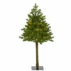 New ⌛ Nearly Natural 3' Swiss Alpine Artificial 🎄 Christmas Tree With 50 Clear LED Lights And 60 Bendable Branches ✔️ -Nearly Natural Sales unnamed file 462