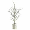 Cheap 🔔 Nearly Natural 24 In. Snowed Twig Artificial Tree In Decorative Planter 👏 -Nearly Natural Sales unnamed file 467