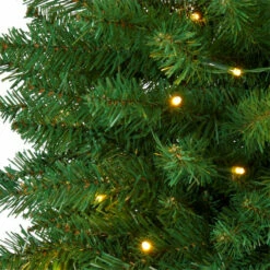 Best reviews of 😀 Nearly Natural 3 Ft. Slim Green Mountain Pine Artificial 🎄 Christmas Tree With 50 Clear LED Lights 🛒 -Nearly Natural Sales unnamed file 473