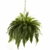 Flash Sale 🧨 Nearly Natural Double Giant Boston Fern Hanging Basket 🔔 -Nearly Natural Sales unnamed file 48