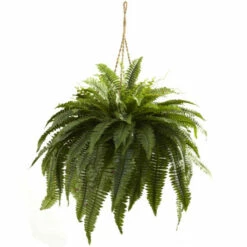 Flash Sale 🧨 Nearly Natural Double Giant Boston Fern Hanging Basket 🔔