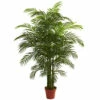 Discount 👍 Nearly Natural 6.5 Ft. Areca Palm UV Resistant Indoor/Outdoor Plant 😀 -Nearly Natural Sales unnamed file 50