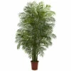 Cheapest 🛒 Nearly Natural 7.5 Ft. Areca Palm UV Resistant Indoor/Outdoor Plant 🎁 -Nearly Natural Sales unnamed file 51