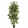 Coupon 👏 Nearly Natural 6 Ft. Bamboo Tree With 1,024 Leaves 🎁