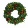 Cheap 👏 Nearly Natural 24 In. Mixed Pine Artificial 🎅 Christmas Wreath With 35 Clear LED Lights And Berries 🔔 -Nearly Natural Sales unnamed file 572