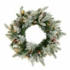 Hot Sale β Nearly Natural 20 In. Flocked Mixed Pine Artificial β Christmas Wreath With 50 LED Lights, Pine Cones And Berries π 1 Hot Sale β Nearly Natural 20 In. Flocked Mixed Pine Artificial β Christmas Wreath With 50 LED Lights, Pine Cones And Berries π -Nearly Natural Sales unnamed file 577