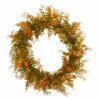 Top 10 🎉 Nearly Natural 21 In. Autumn Fern Artificial Wreath 👏 -Nearly Natural Sales unnamed file 668