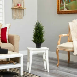 Budget ⭐ Nearly Natural 18 In. Cedar Artificial Tree With Lights UV Resistant ⌛ -Nearly Natural Sales unnamed file 68