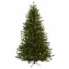 Budget π Nearly Natural 7.5-Ft. Classic Pine & Pine Cone π
Christmas Tree π 2 Budget π Nearly Natural 7.5-Ft. Classic Pine & Pine Cone π
Christmas Tree π -Nearly Natural Sales unnamed file 739