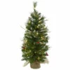 Top 10 π Nearly Natural 3-Ft. π Christmas Tree With Berries, Bag & Clear Lights 𧨠1 Top 10 π Nearly Natural 3-Ft. π Christmas Tree With Berries, Bag & Clear Lights 𧨠-Nearly Natural Sales unnamed file 741
