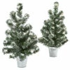 Outlet 𧨠Nearly Natural Snowy Pine Tree With Tin Set Of 2 β€οΈ 2 Outlet 𧨠Nearly Natural Snowy Pine Tree With Tin Set Of 2 β€οΈ -Nearly Natural Sales unnamed file 743