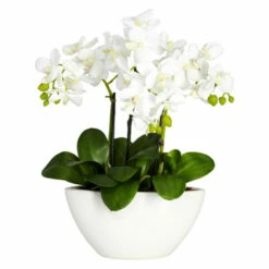 Cheapest 🥰 Nearly Natural 15" Phalaenopsis With White Vase 👏