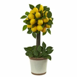 Top 10 🎁 Nearly Natural 18" Lemon Ball Topiary 🤩