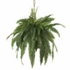 Brand new 👏 Nearly Natural Large Boston Fern Hanging Basket 🤩 -Nearly Natural Sales unnamed file 758