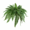 Hot Sale 🎁 Nearly Natural 48" Boston Fern Set Of 2 🥰 -Nearly Natural Sales unnamed file 759