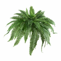 Hot Sale 🎁 Nearly Natural 48" Boston Fern Set Of 2 🥰