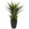 Cheap π Nearly Natural 30" Agave With Black Planter π― 2 Cheap π Nearly Natural 30" Agave With Black Planter π― -Nearly Natural Sales unnamed file 760