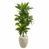 Brand new 💯 Nearly Natural Dracaena Artificial Plant W Beige Planter- Real Touch ❤️ -Nearly Natural Sales unnamed file 765