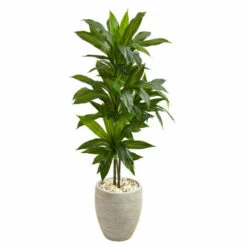Brand new 💯 Nearly Natural Dracaena Artificial Plant W Beige Planter- Real Touch ❤️