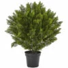 Cheapest β Nearly Natural 3' Cedar Bush Indoor/Outdoor π 2 Cheapest β Nearly Natural 3' Cedar Bush Indoor/Outdoor π -Nearly Natural Sales unnamed file 768