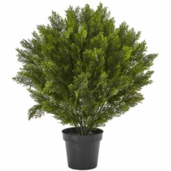 Cheapest ⌛ Nearly Natural 3' Cedar Bush Indoor/Outdoor 🔔