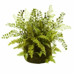 Cheap 🎉 Nearly Natural Mixed Fern With Twig And Moss Basket 🔥