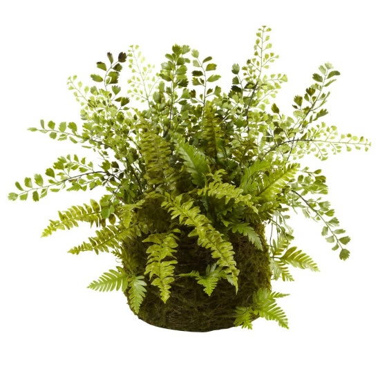 Cheap π Nearly Natural Mixed Fern With Twig And Moss Basket π₯ 3 Cheap π Nearly Natural Mixed Fern With Twig And Moss Basket π₯