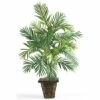 Buy β¨ Nearly Natural Areca Palm With Wicker Basket π 1 Buy β¨ Nearly Natural Areca Palm With Wicker Basket π -Nearly Natural Sales unnamed file 782