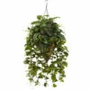 Coupon 👍 Nearly Natural 36" Vining Mixed Greens With Cone Hanging Basket 🎁 -Nearly Natural Sales unnamed file 783