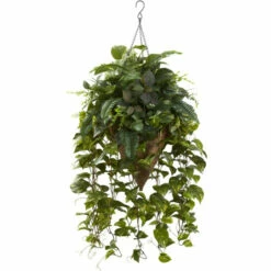 Coupon 👍 Nearly Natural 36" Vining Mixed Greens With Cone Hanging Basket 🎁