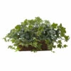 Top 10 🤩 Nearly Natural 12.5" Puff Ivy With Ledge Basket 🎁 -Nearly Natural Sales unnamed file 784