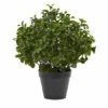Wholesale 😀 Nearly Natural 23" Peperomia Plant UV-Resistant Indoor/Outdoor 🎉
