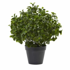 Wholesale 😀 Nearly Natural 23" Peperomia Plant UV-Resistant Indoor/Outdoor 🎉