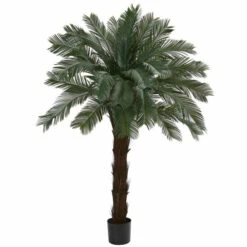 Deals 🥰 Nearly Natural UV-Resistant 6' Cycas Tree Indoor/Outdoor ⭐
